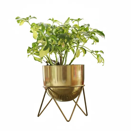 Premium Gold Pot Metal Planter with Stand